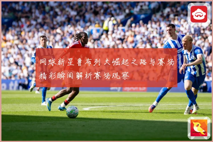 网球新星鲁布列夫崛起之路与赛场精彩瞬间解析赛场观察