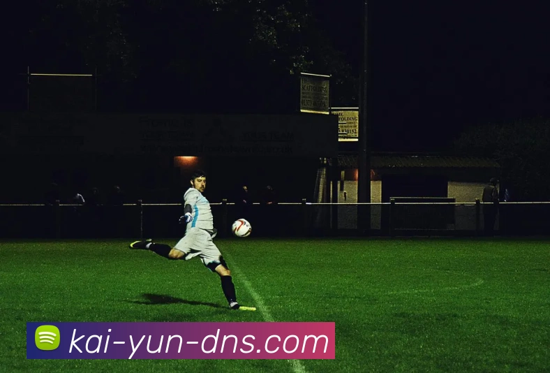 开云平台展示图