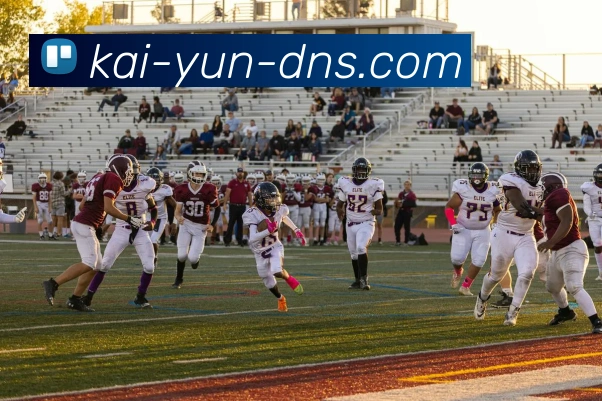 开云官网全站App